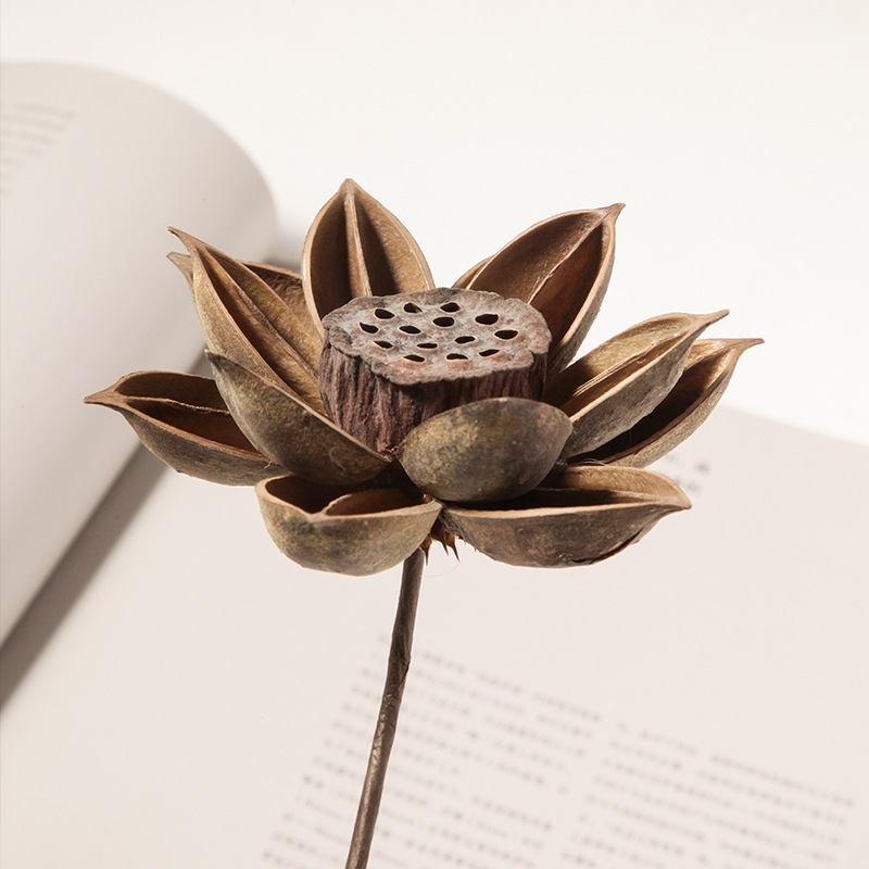 Natural dried flower home decorations