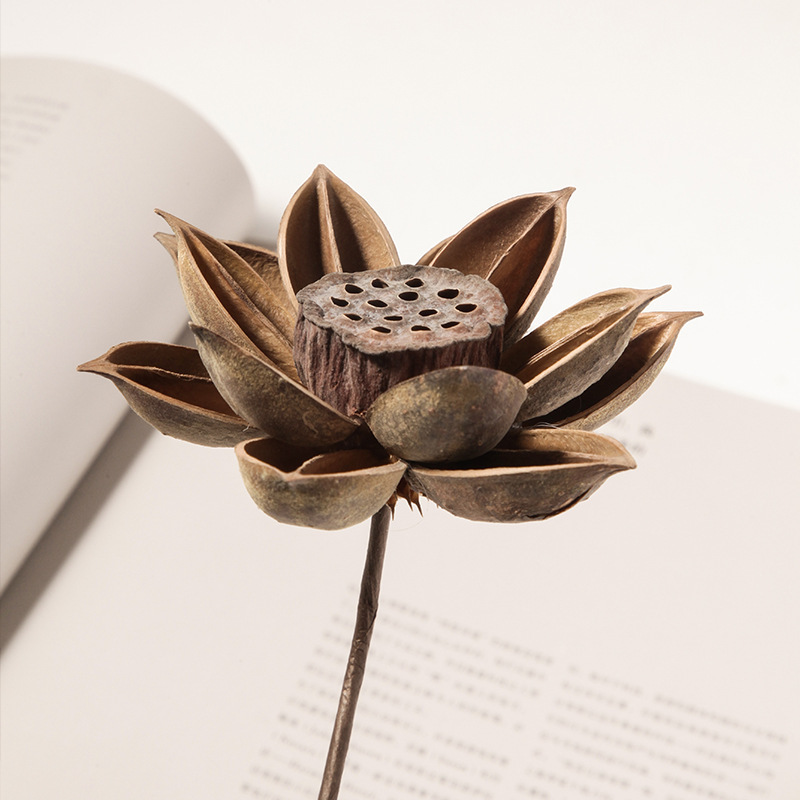 Natural dried flower home decorations