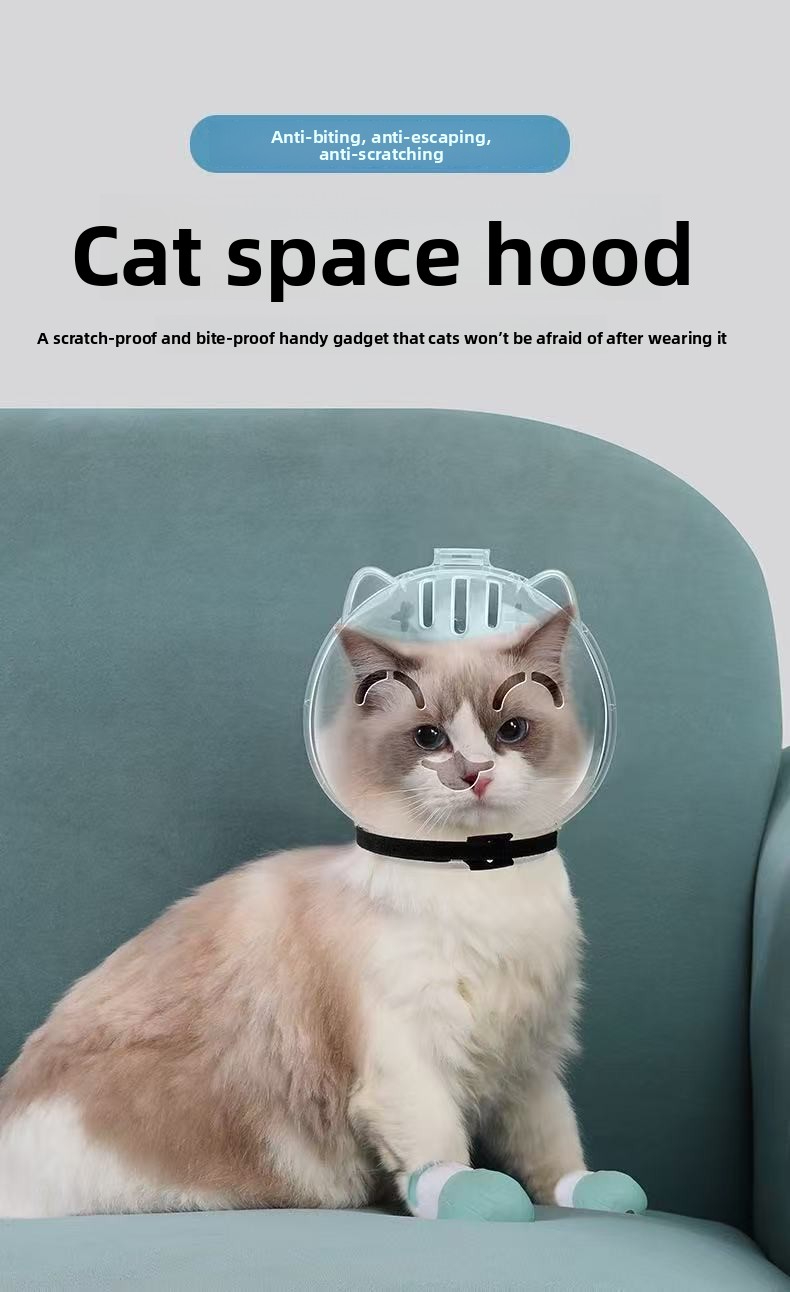 gGqRi/mnzdQy998gxNFqwsV0RnK8VEnOYkin