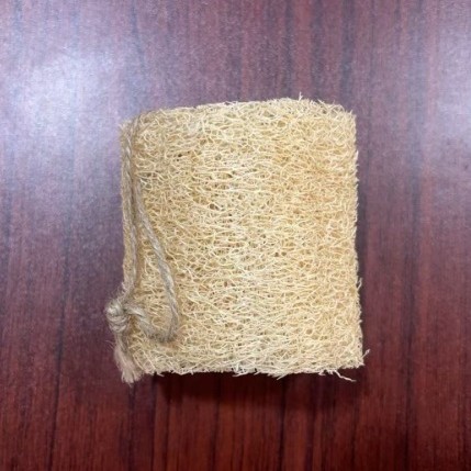 Natural Loofah Sponge Dishwashing Brush Pot Scrubber Magic Tool