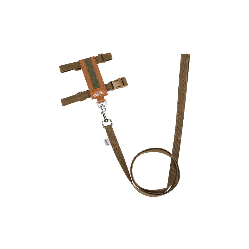 Adjustable anti-escape cat leash