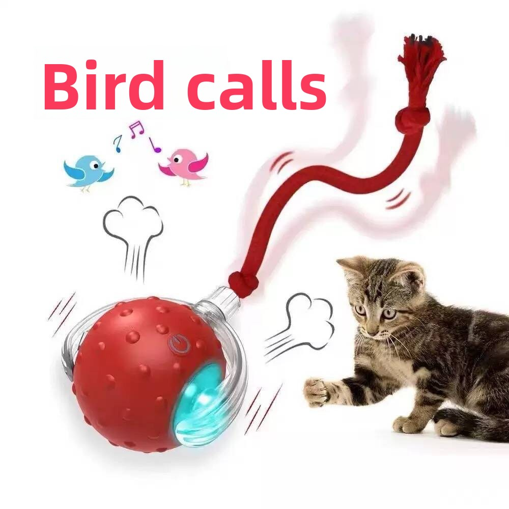 Cat teaser self-amusement artifact（two)