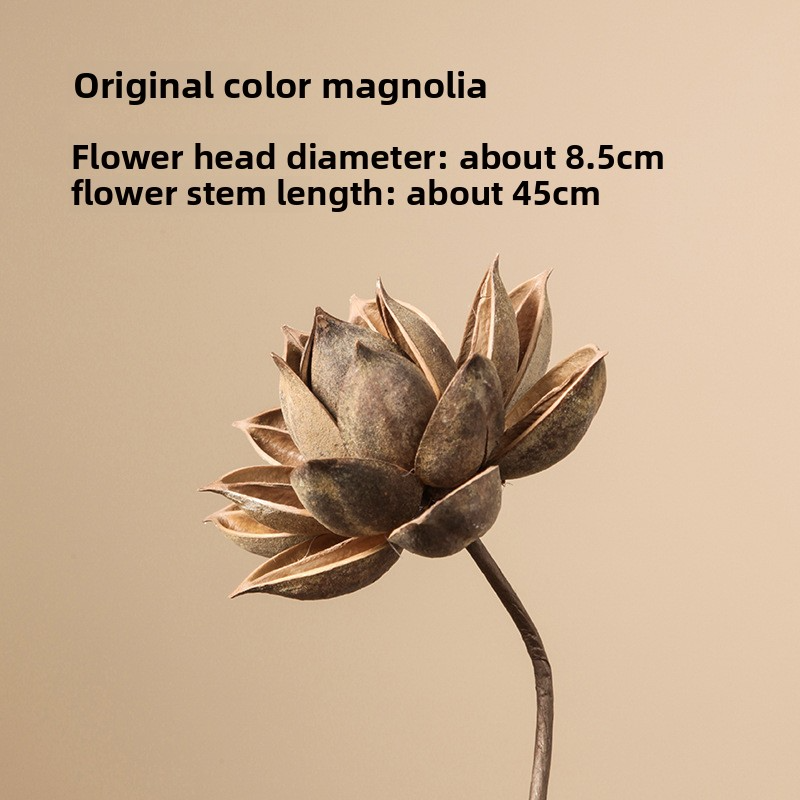 Natural dried flower home decorations