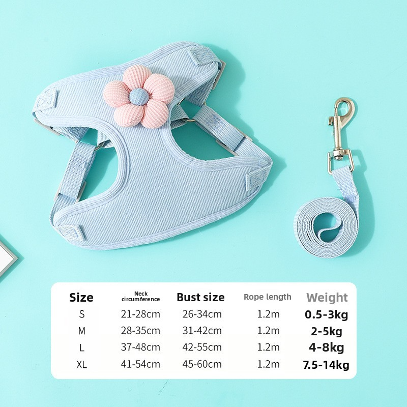 Leash for small puppies when going out