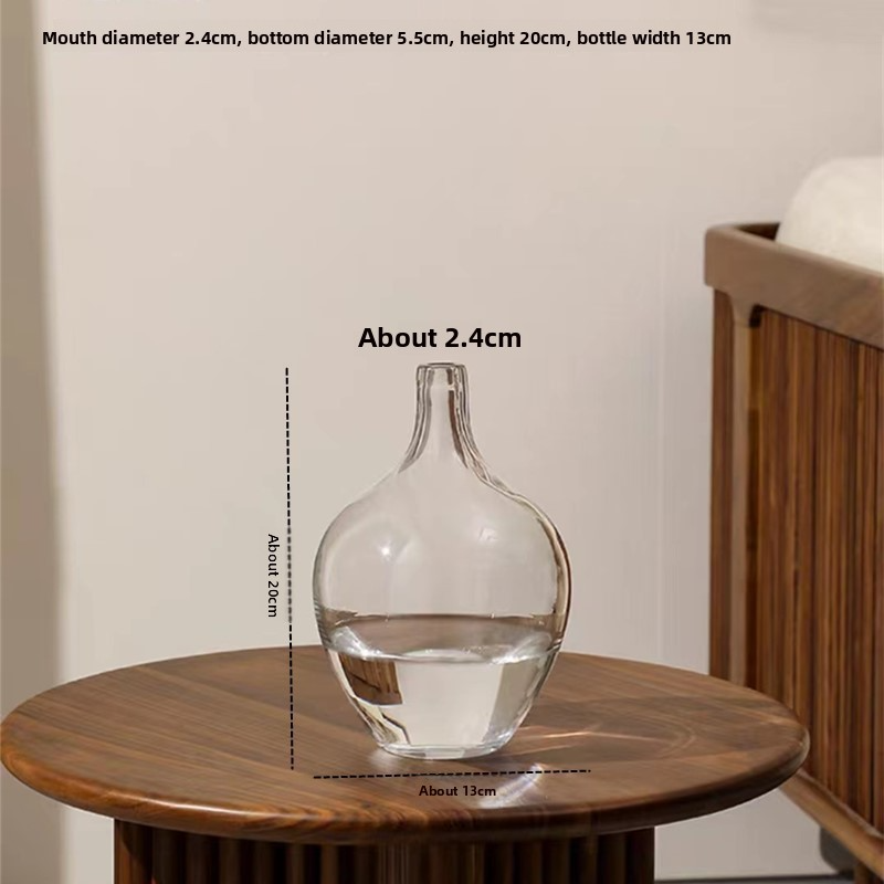 Large-bellied transparent glass vase