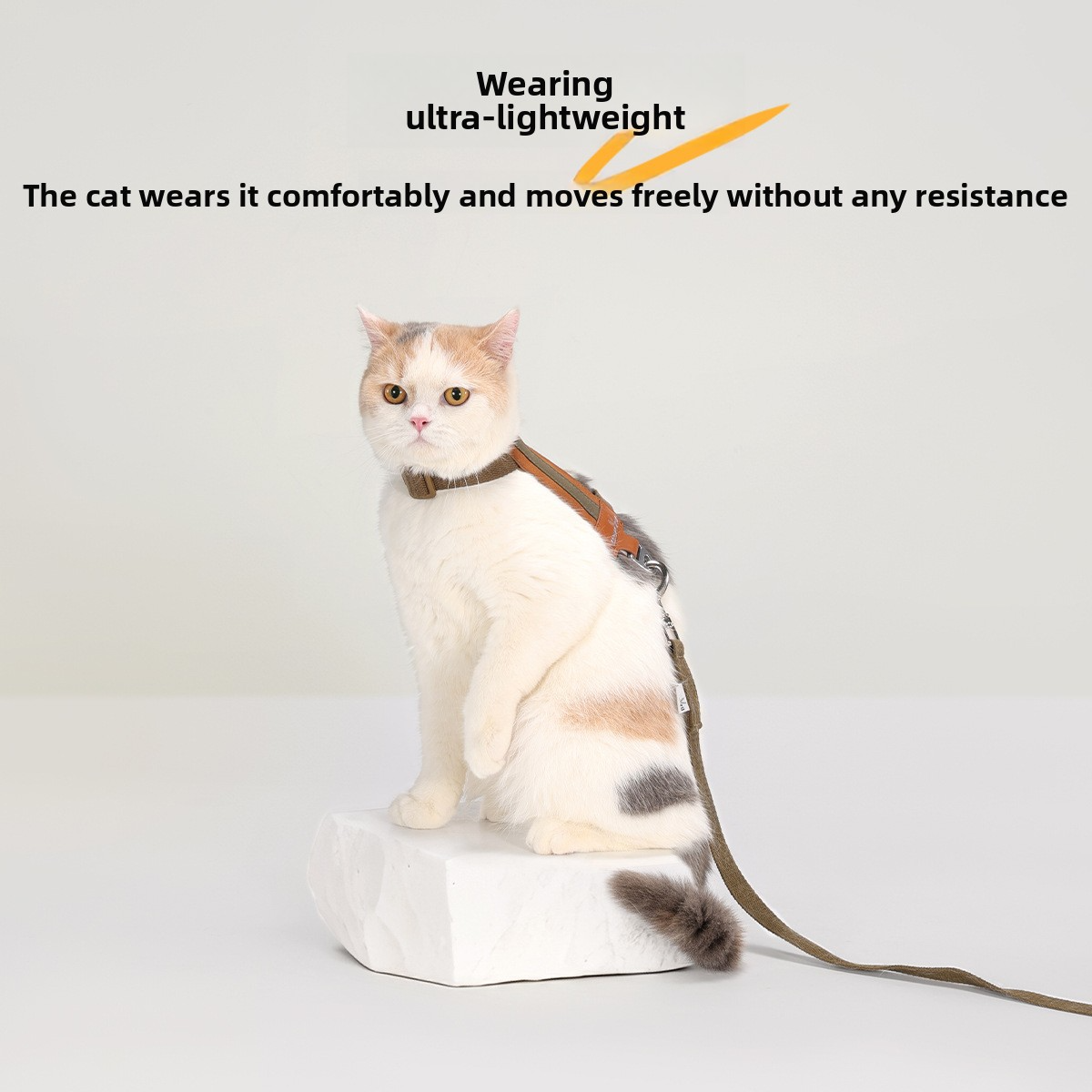 Adjustable anti-escape cat leash