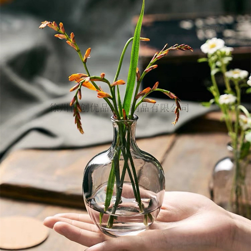 Nordic minimalist creative mini small vase