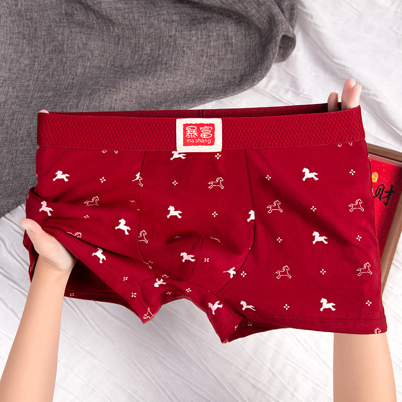 Year of the Horse Red Men's Underwear Men's Zodiac Year Boxer Briefs