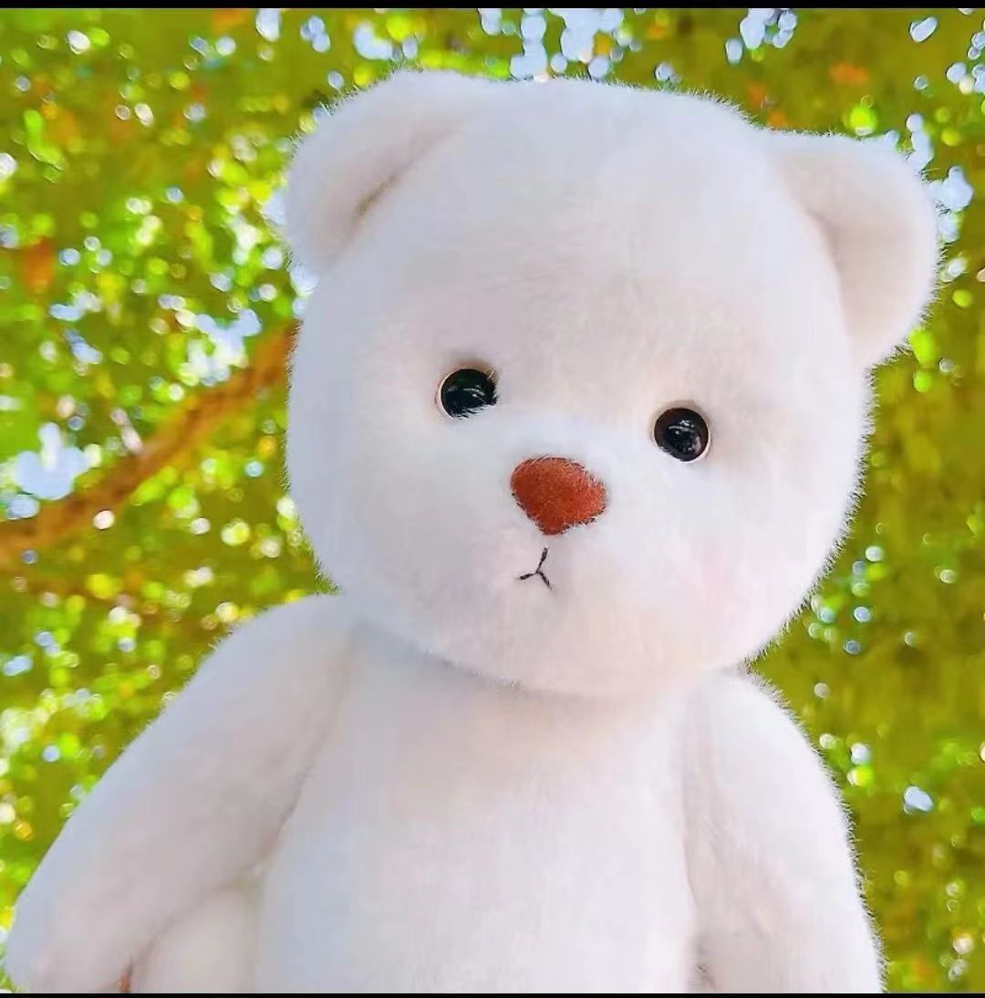 Articulated doll bear, internet-famous plush toy, clothes-wearable, handcrafted bear, exquisite gift for girls, retail available