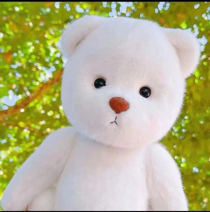 Articulated doll bear, internet-famous plush toy, clothes-wearable, handcrafted bear, exquisite gift for girls, retail available