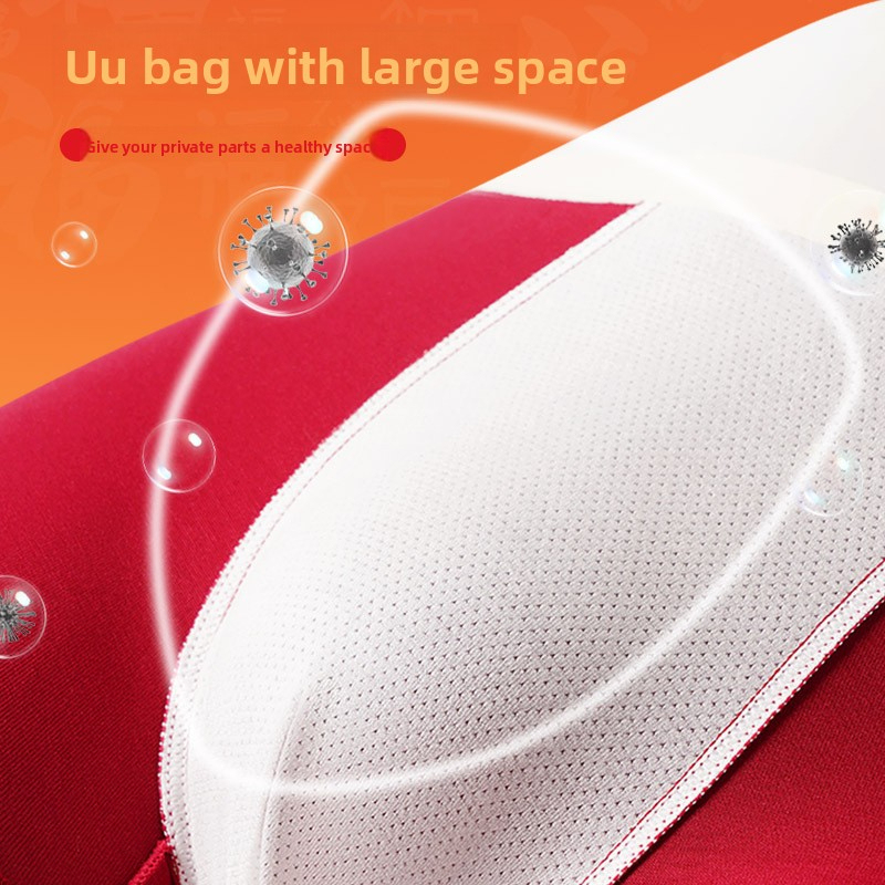 Red Men's Underwear for the Year of Birth