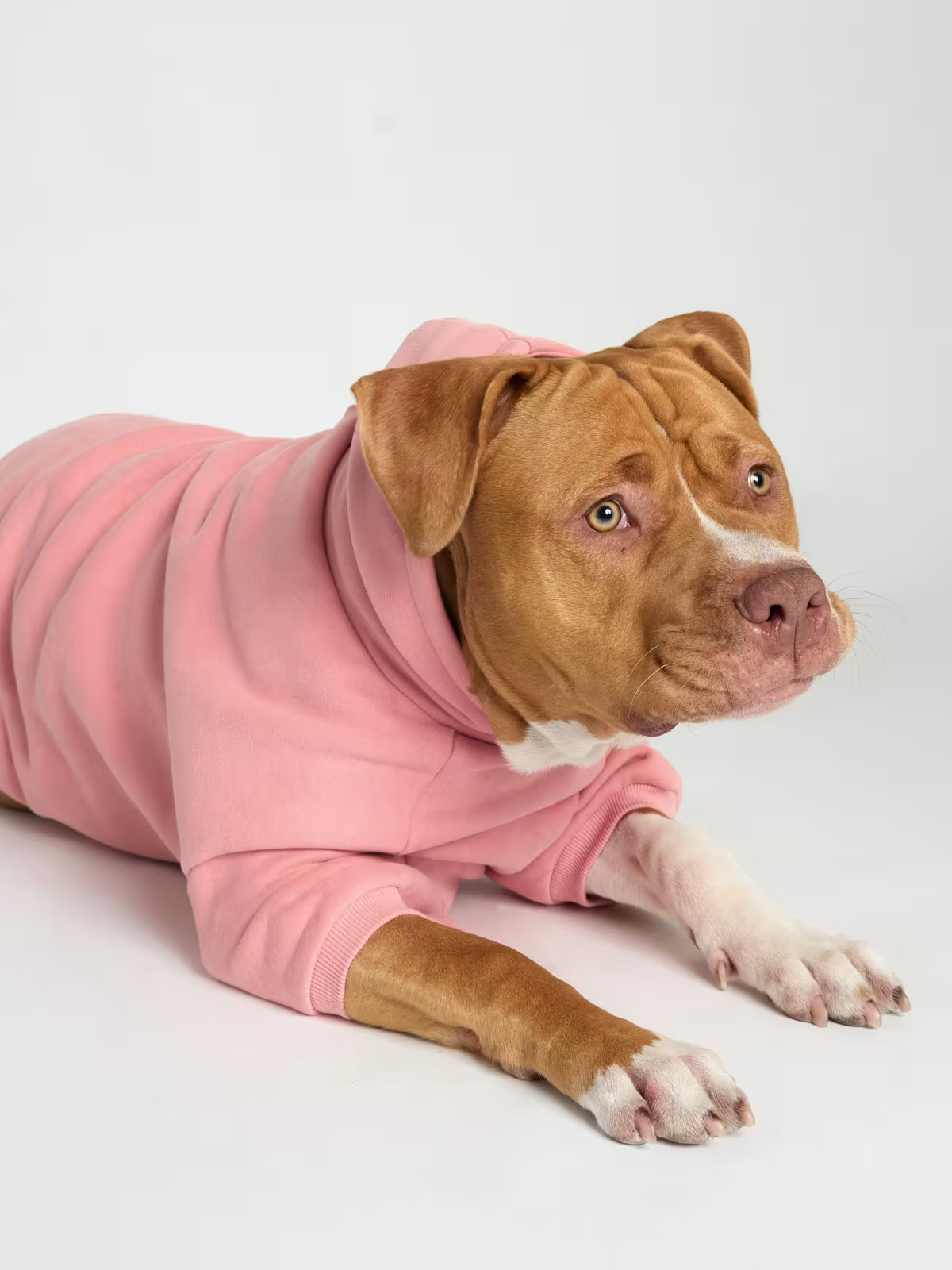 Adult + Paw You Matter Set