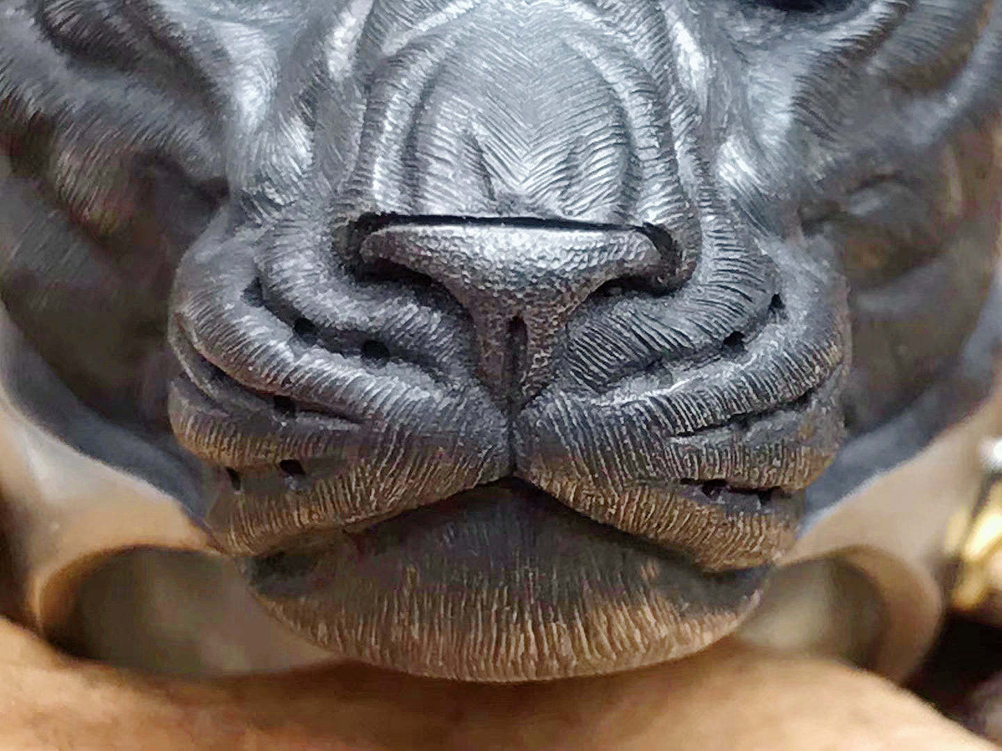 Panther  Ring (Item No. SC024)