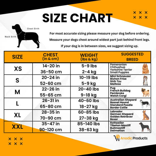 Personalized No Pull Dog Harness