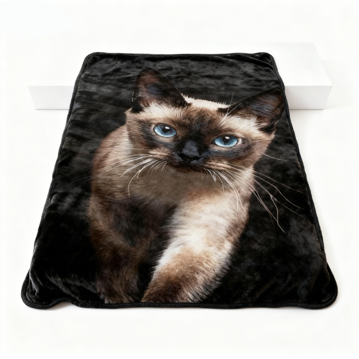 3D Cat Print Flannel Thick Blanket