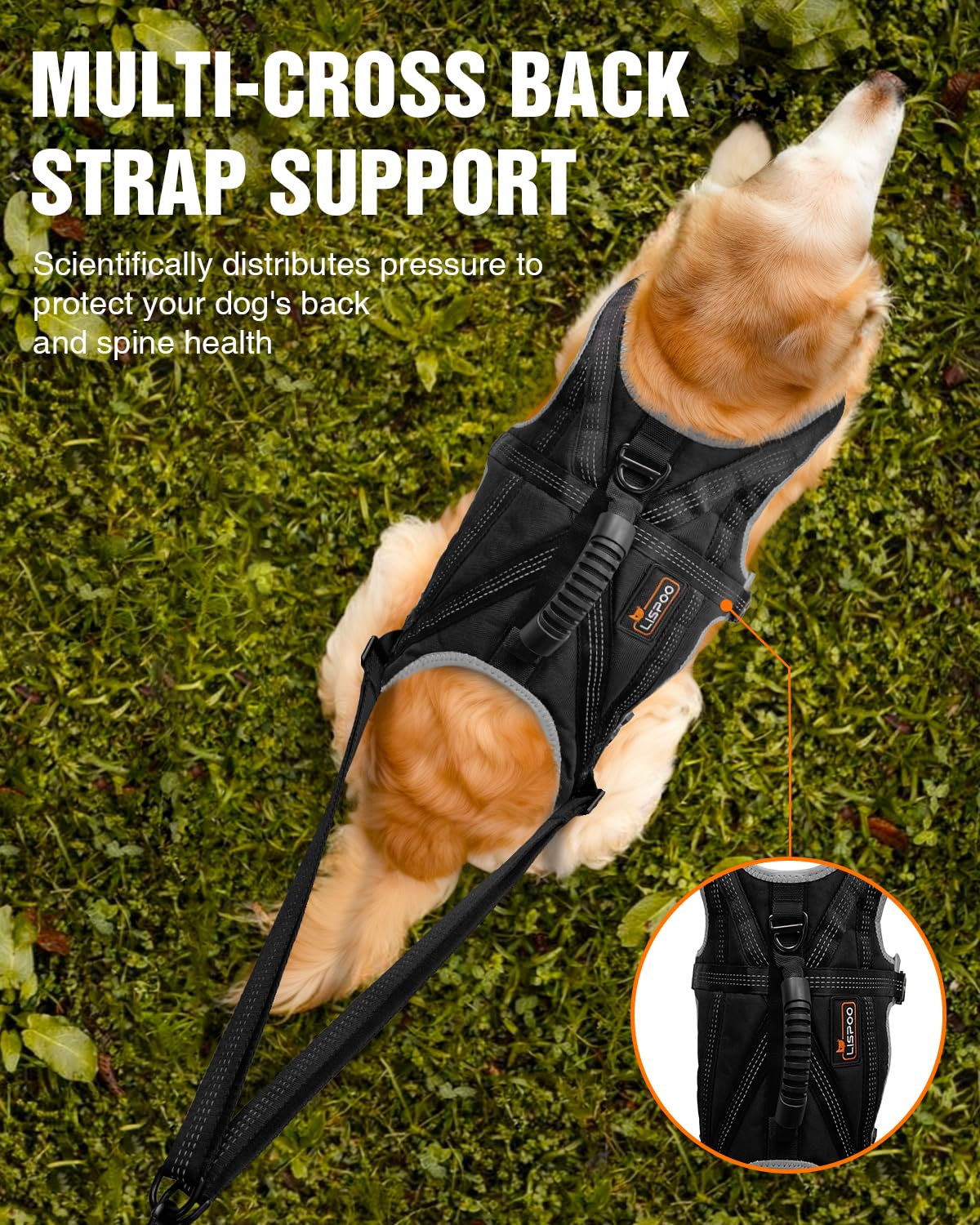 Dog harness suitable for running, skiing, cycling and pulling heavy loads – adjustable sled dog harness with leash and hip belt attachments, suitable for medium and large breeds.