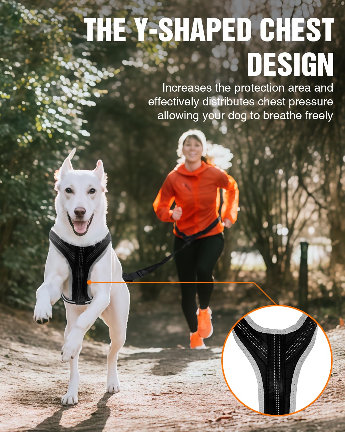 Dog harness suitable for running, skiing, cycling and pulling heavy loads – adjustable sled dog harness with leash and hip belt attachments, suitable for medium and large breeds.
