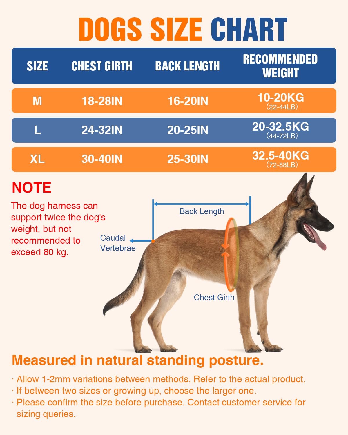 Dog harness suitable for running, skiing, cycling and pulling heavy loads – adjustable sled dog harness with leash and hip belt attachments, suitable for medium and large breeds.