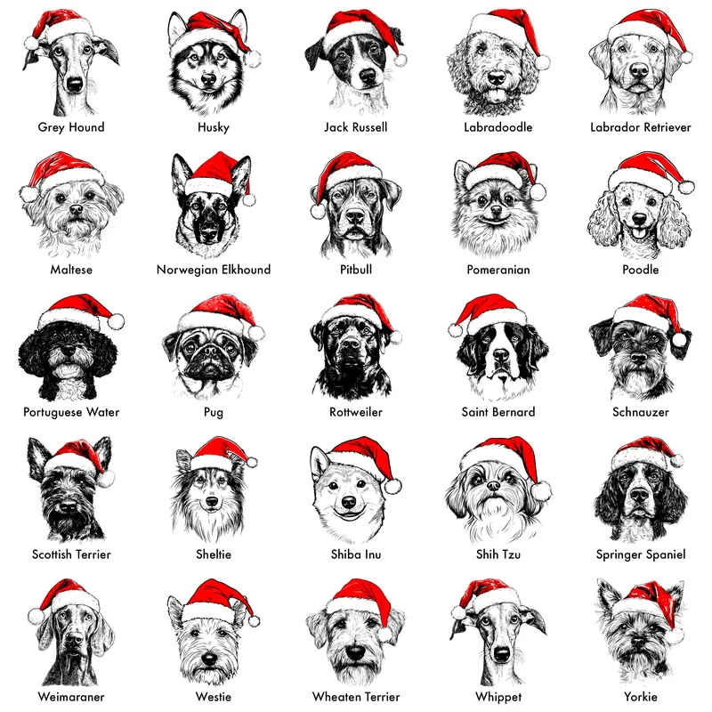 Santa Paws Christmas Dog Sweatshirt – 50 Dog Breeds in Festive Santa Hat | Unisex Holiday Pullover