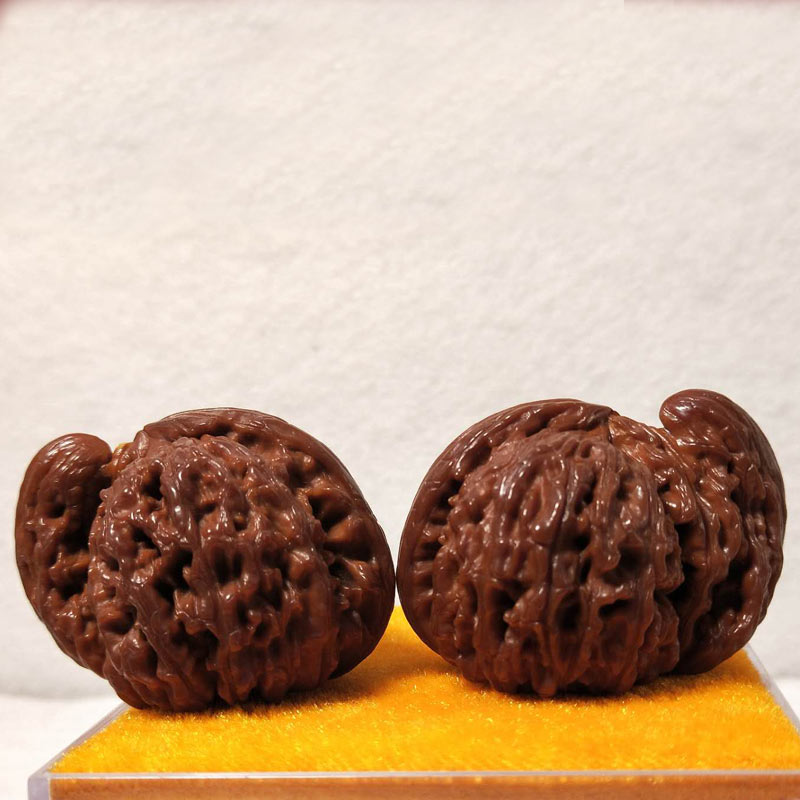 Collectible fine white lion-shaped teapots (a pair)