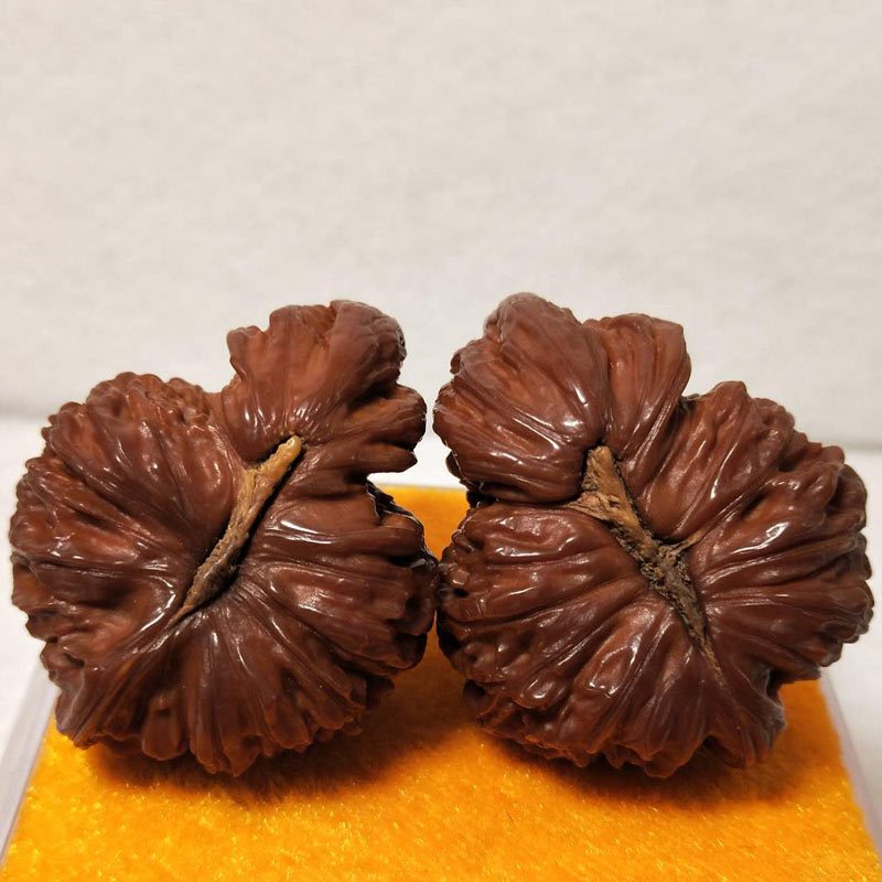 Collectible fine white lion-shaped teapots (a pair)