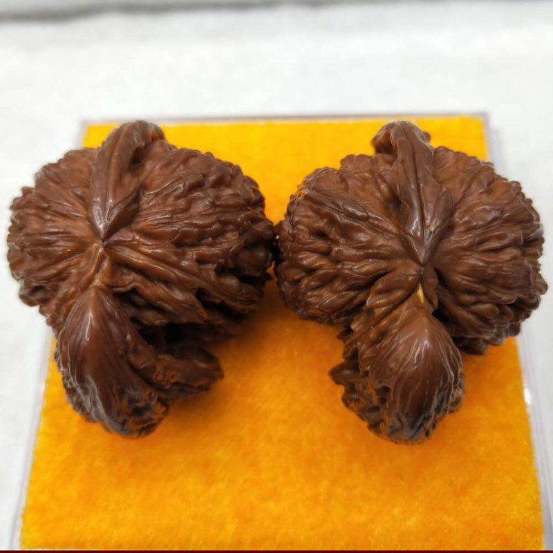 Collectible fine white lion-shaped teapots (a pair)