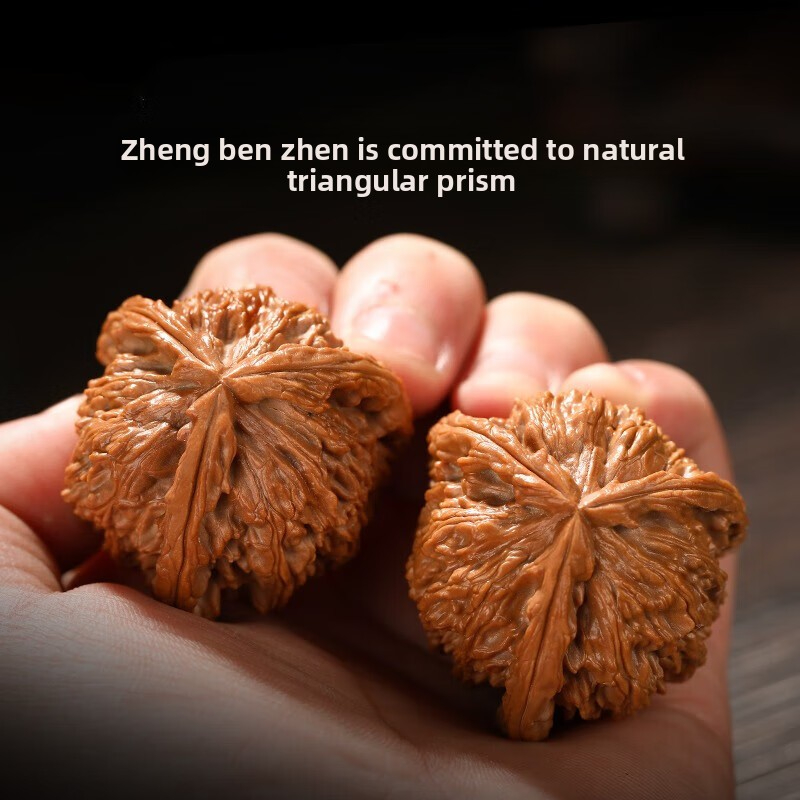 Zimian natural high-quality collectible grade Wenwan walnuts