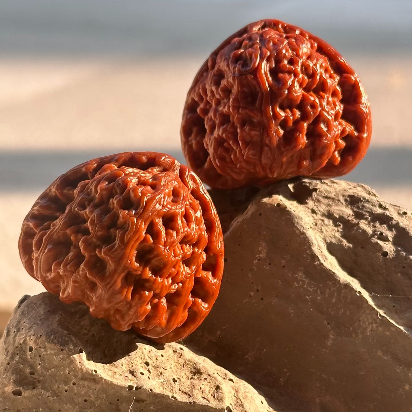 [High-Density & Reddish] Patinated Premium Matched Vintage Curio Walnut Pair | Natural Grain Handheld Collectible