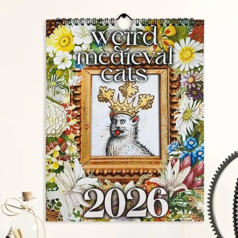 🔥🐱Whimsical Medieval Cats 2026 Calendar⚔️📅