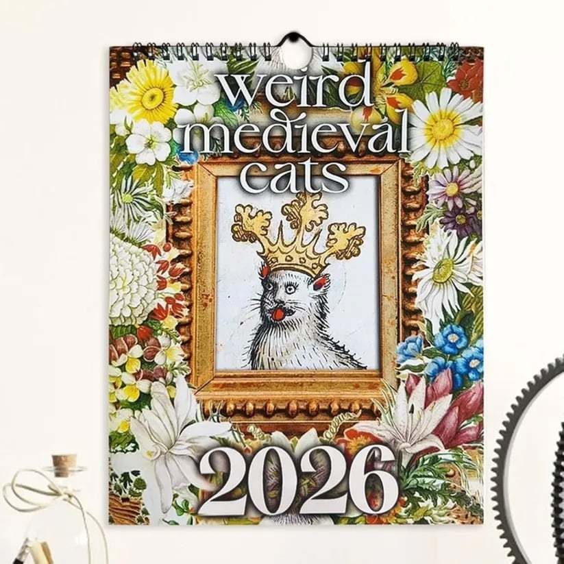 🔥🐱Whimsical Medieval Cats 2026 Calendar⚔️📅