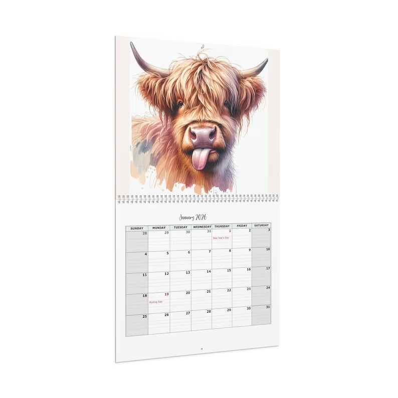 🐮Highland Cow Calendar 2026📅