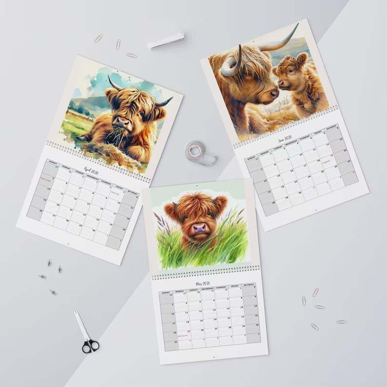 🐮Highland Cow Calendar 2026📅