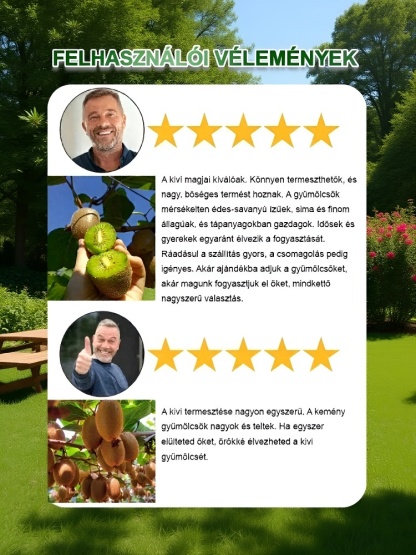 Fokozza a férfiak erejét Új zélandi bio kivi facsemete