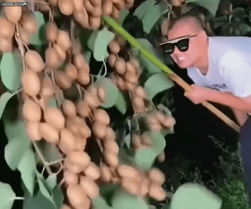 Honeycam 2025-10-21 13-39-10.gif