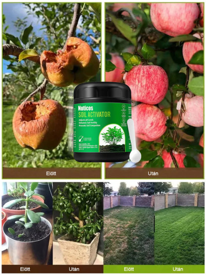 ✨Kiszáradt növények feltámadnak 3 nap alatt?