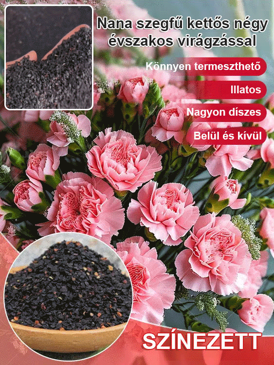 🌸 Szeretne egy lélegzetelállító kertet? Most vessen magot, és már áprilisban virágba borulhat! 🌸