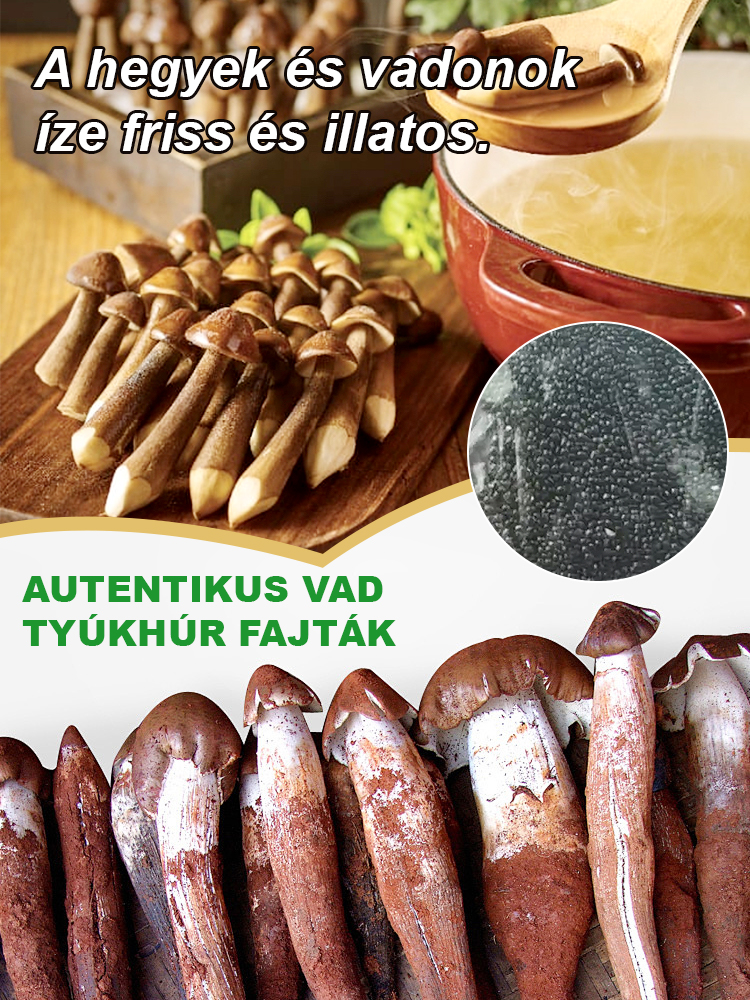 🌟Nem kell drága éttermi árakat fizetni, otthon is élvezheti a luxus gombák ízét!