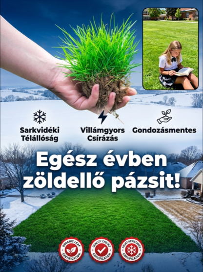 🌾 Csupán 7 nap alatt létrehozhat egy összefüggő gyepszőnyeget