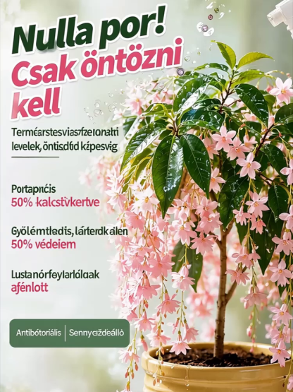 ☕🌿 【Francia Vízesés Jázmin】Ötféle színben, mint egy virágzuhatag, akár 300 napos virágzási idővel!
