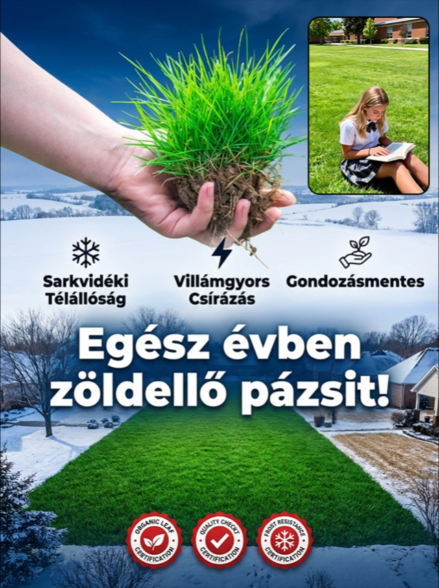 🌟Kiváló nemesített ír fajta, amellyel 7 nap alatt zöld gyepet varázsolhat!🌟