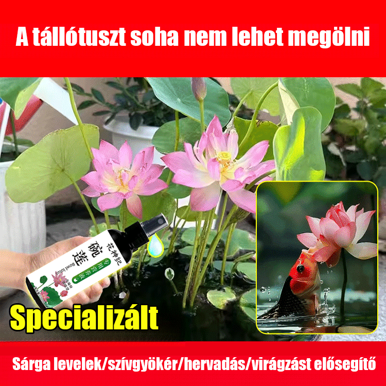 💧Megakadályozza a sárgulást és a gyökérkorhadást, elősegíti az erős gyökérzetet és a hosszabb virágzási időszakot 🌿
