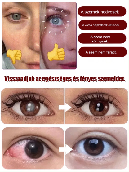 ✨[Családi csomag] Okos gyerek, éles szemű szülő – mindenki imádni fogja!