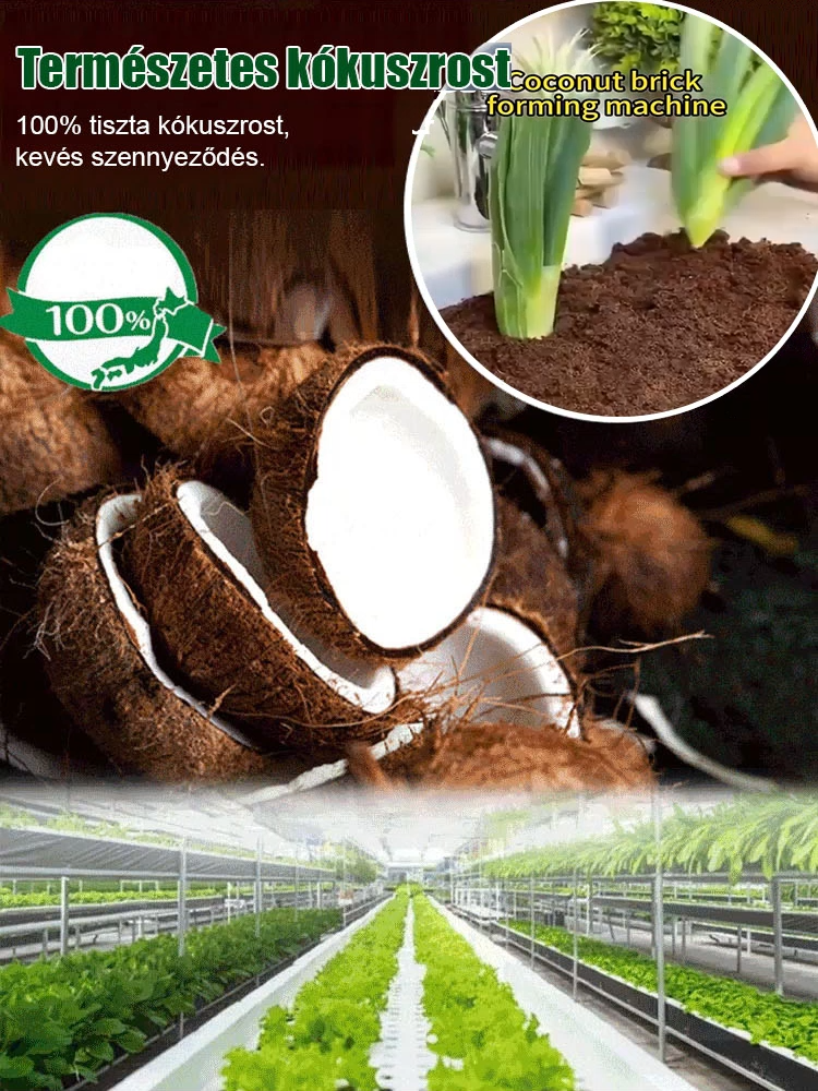 🌿Erősítse a gyökérzet vitalitását és oldja meg a növények tápanyaghiányának problémáját