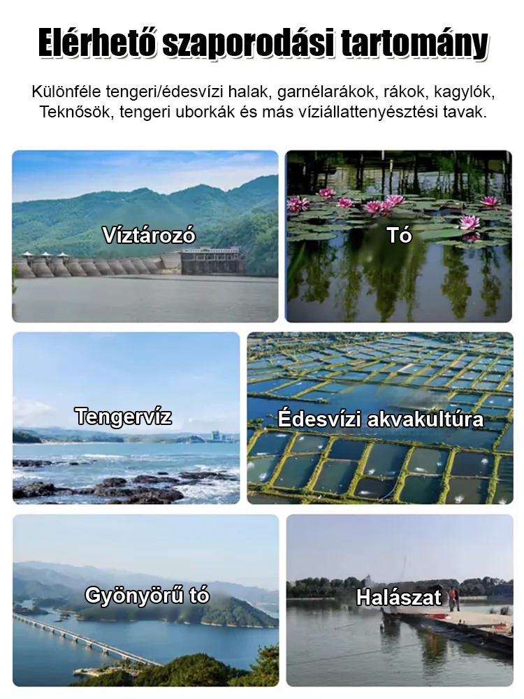 Egy zsák tíz hold: Környezetbarát vízkezelő, kifejezetten hal- és garnélarák-tenyésztéshez!