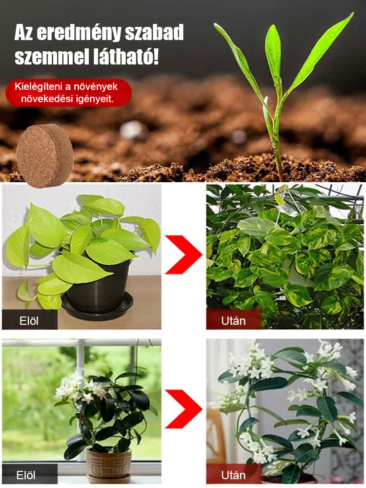 🌿Erősítse a gyökérzet vitalitását és oldja meg a növények tápanyaghiányának problémáját