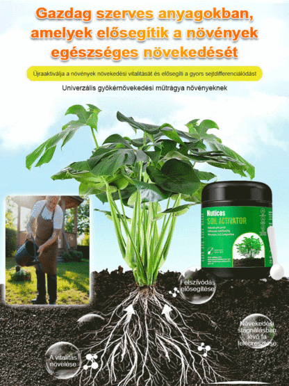 ✨Kiszáradt növények feltámadnak 3 nap alatt?