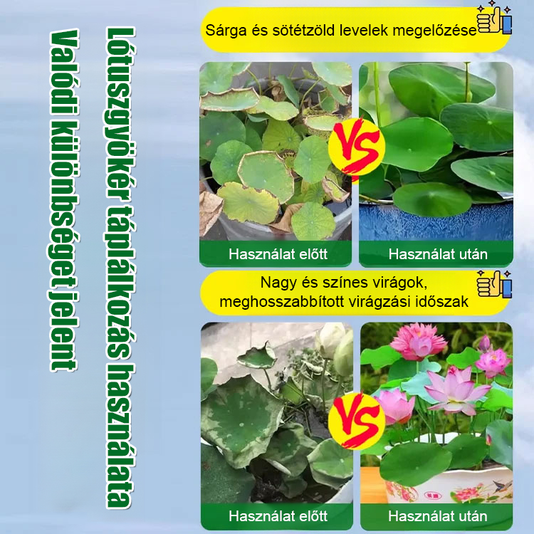 💧Megakadályozza a sárgulást és a gyökérkorhadást, elősegíti az erős gyökérzetet és a hosszabb virágzási időszakot 🌿