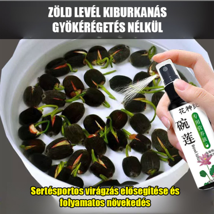 💧Megakadályozza a sárgulást és a gyökérkorhadást, elősegíti az erős gyökérzetet és a hosszabb virágzási időszakot 🌿