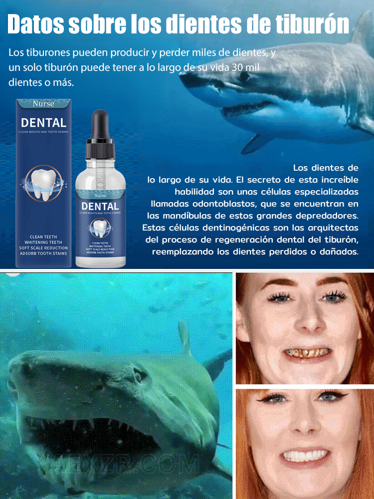 💰Say goodbye to expensive dental treatments! Tooth regeneration drops💎deep filling for cavities