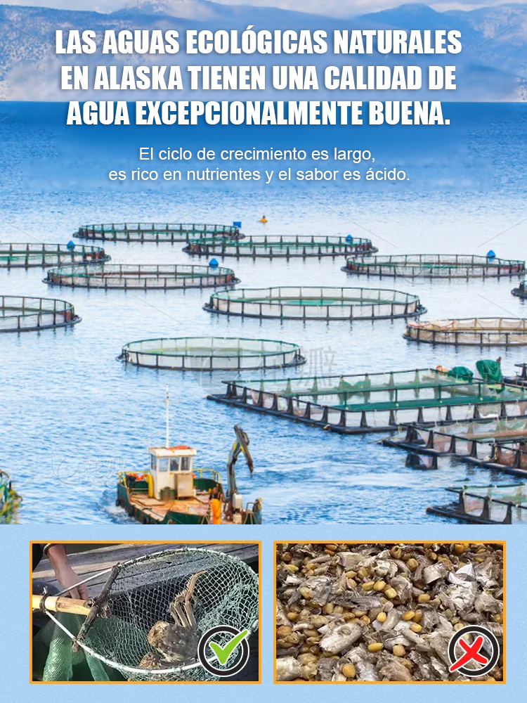 💡Zero trans fats, bez konserwantów, wysoka zawartość białka i wapnia, gotowe do natychmiastowego spożycia - niezwykle wygodne! 💡